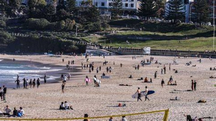 Aussie beachgoers battling brutal stinger